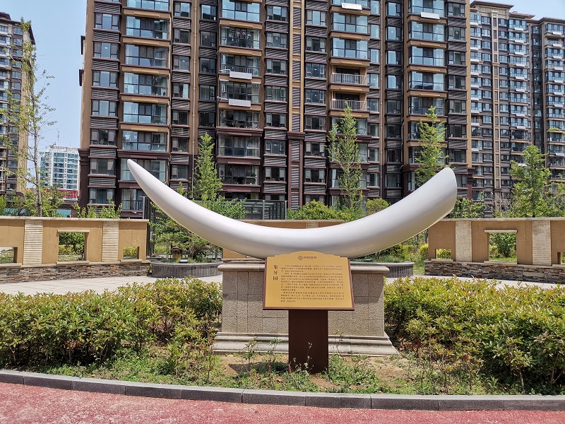 蓬莱居佳领海  “象牙婚 ”不锈钢雕塑